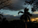 Tramonto. Immagine decorativa
